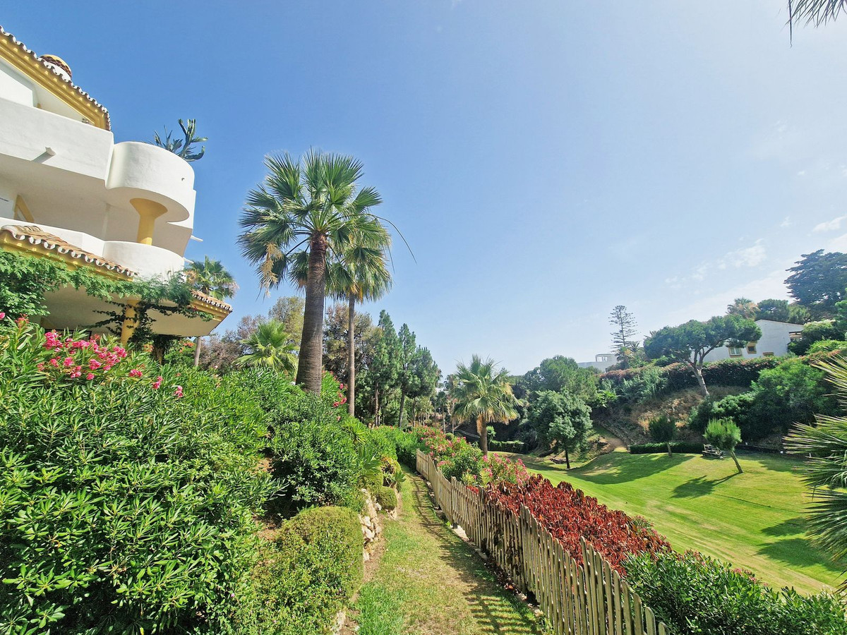 32-e7f90ea5feef5e01d64d74d6b6d8a834