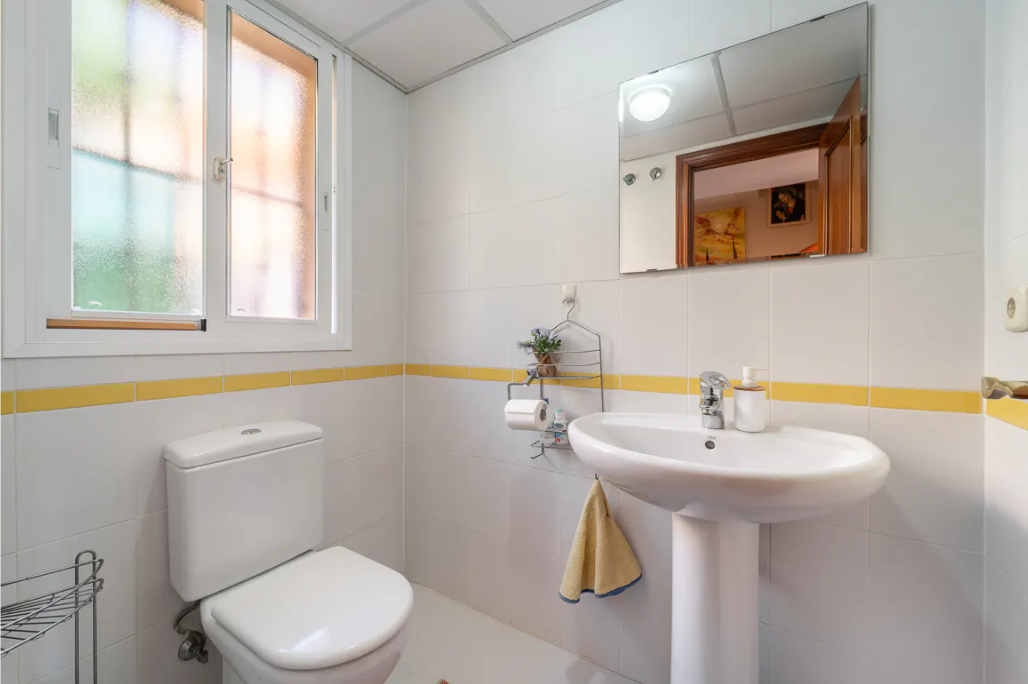 Snímek obrazovky 2026-03-03 101400