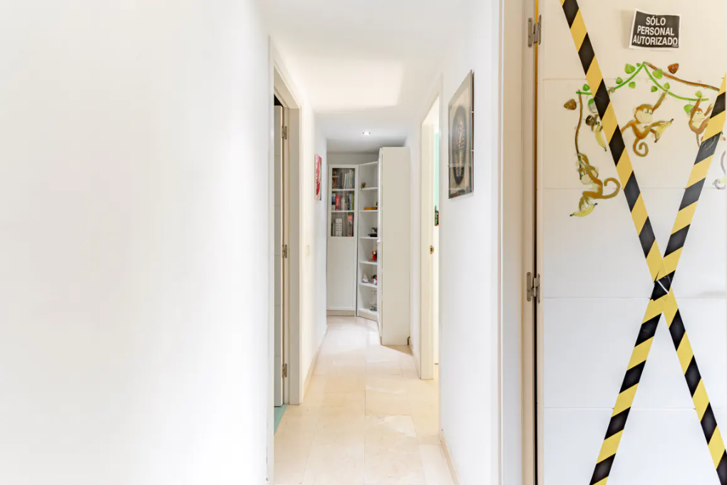 Snímek obrazovky 2026-03-03 105126