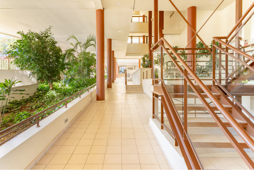 Snímek obrazovky 2026-03-03 105256