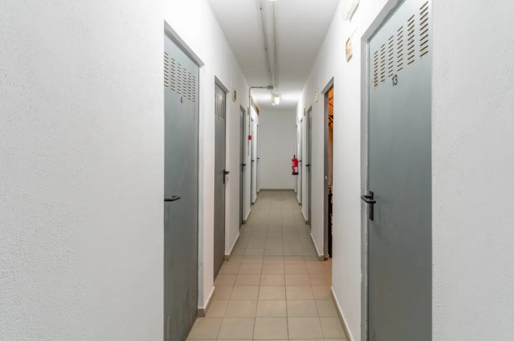 Snímek obrazovky 2026-03-03 105319